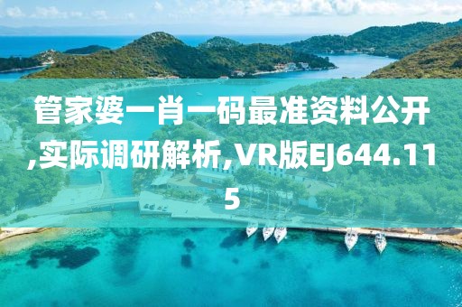 管家婆一肖一码最准资料公开,实际调研解析,VR版EJ644.115