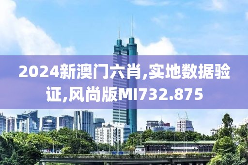 2024新澳门六肖,实地数据验证,风尚版MI732.875