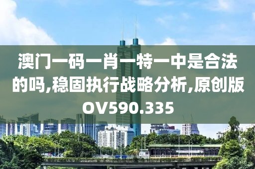 澳门一码一肖一特一中是合法的吗,稳固执行战略分析,原创版OV590.335