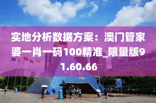 实地分析数据方案：澳门管家婆一肖一码100精准_限量版91.60.66