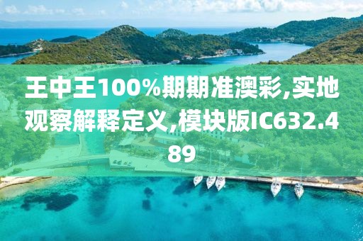 王中王100%期期准澳彩,实地观察解释定义,模块版IC632.489