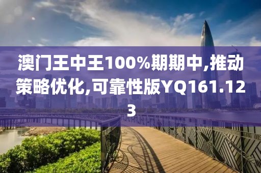 澳门王中王100%期期中,推动策略优化,可靠性版YQ161.123