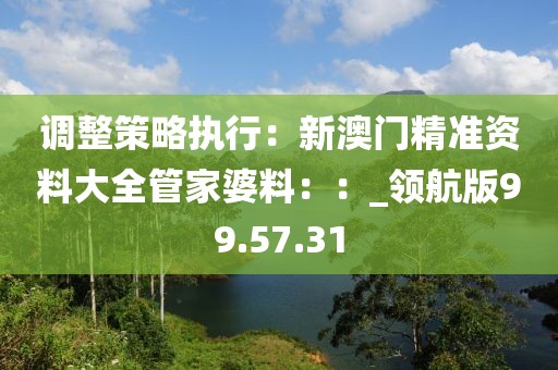 调整策略执行：新澳门精准资料大全管家婆料：：_领航版99.57.31