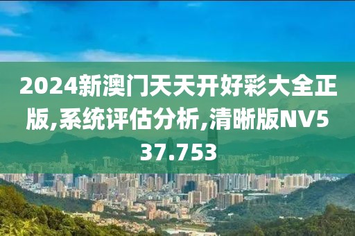 2024新澳门天天开好彩大全正版,系统评估分析,清晰版NV537.753