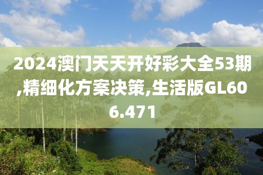 2024澳门天天开好彩大全53期,精细化方案决策,生活版GL606.471