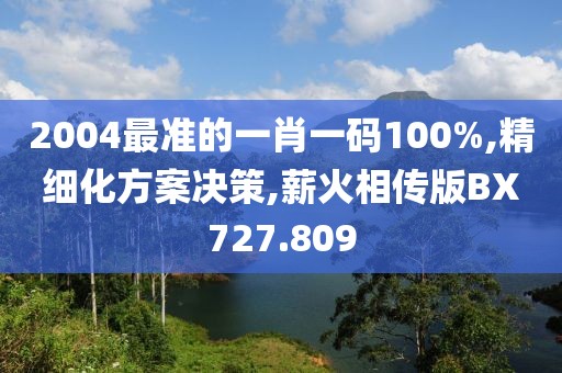 2004最准的一肖一码100%,精细化方案决策,薪火相传版BX727.809