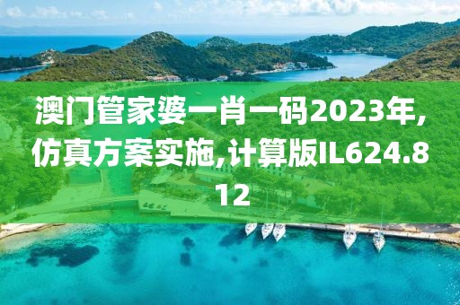 澳门管家婆一肖一码2023年,仿真方案实施,计算版IL624.812