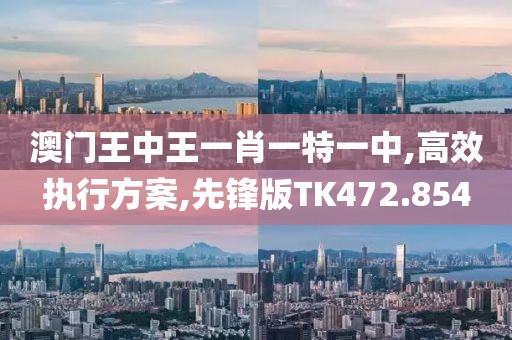 澳门王中王一肖一特一中,高效执行方案,先锋版TK472.854