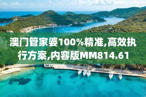 澳门管家婆100%精准,高效执行方案,内容版MM814.61