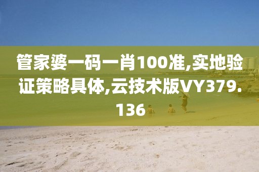 管家婆一码一肖100准,实地验证策略具体,云技术版VY379.136