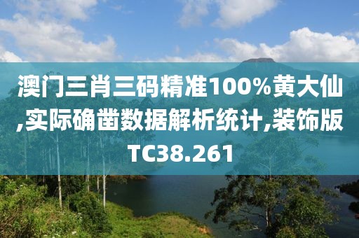 澳门三肖三码精准100%黄大仙,实际确凿数据解析统计,装饰版TC38.261