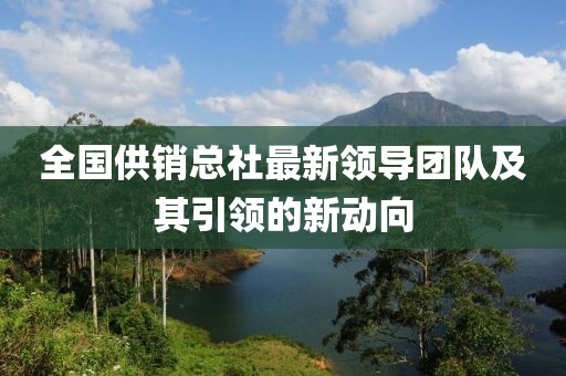 全国供销总社最新领导团队及其引领的新动向