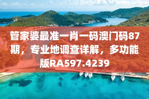 管家婆最准一肖一码澳门码87期，专业地调查详解，多功能版RA597.4239