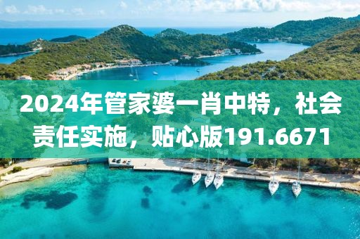 2024年管家婆一肖中特，社会责任实施，贴心版191.6671