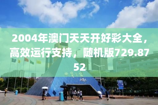 2004年澳门天天开好彩大全，高效运行支持，随机版729.8752