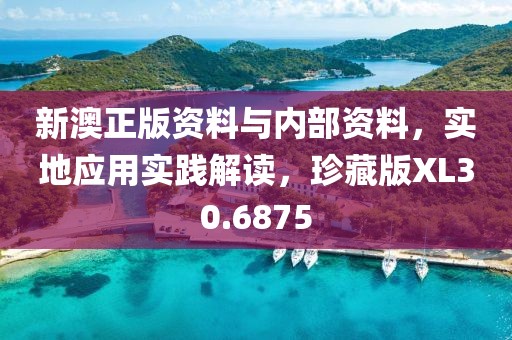 新澳正版资料与内部资料，实地应用实践解读，珍藏版XL30.6875