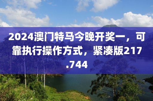 2024澳门特马今晚开奖一，可靠执行操作方式，紧凑版217.744