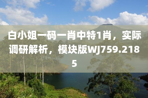 白小姐一码一肖中特1肖，实际调研解析，模块版WJ759.2185