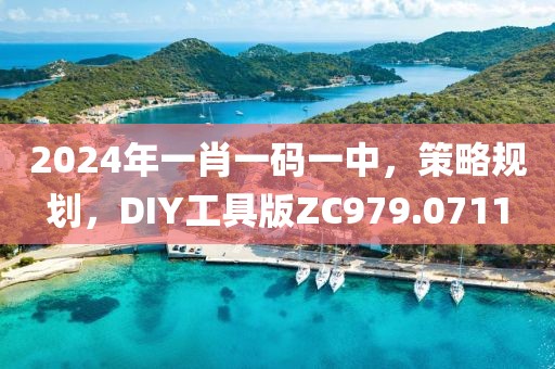 2024年一肖一码一中，策略规划，DIY工具版ZC979.0711