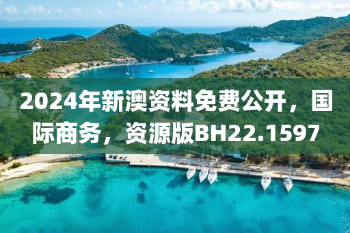 2024年新澳资料免费公开，国际商务，资源版BH22.1597