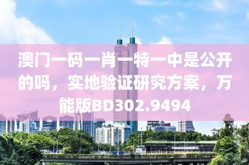 澳门一码一肖一特一中是公开的吗，实地验证研究方案，万能版BD302.9494