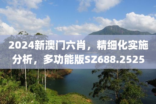 2024新澳门六肖，精细化实施分析，多功能版SZ688.2525