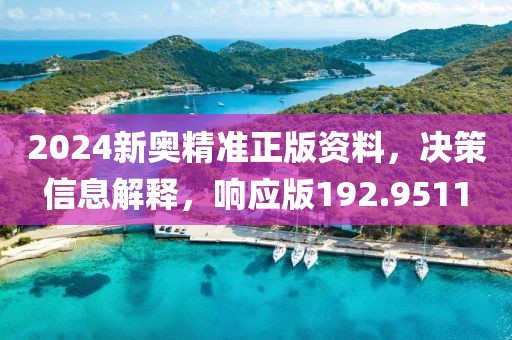 2024新奥精准正版资料，决策信息解释，响应版192.9511