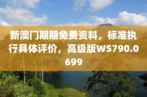 新澳门期期免费资料，标准执行具体评价，高级版WS790.0699