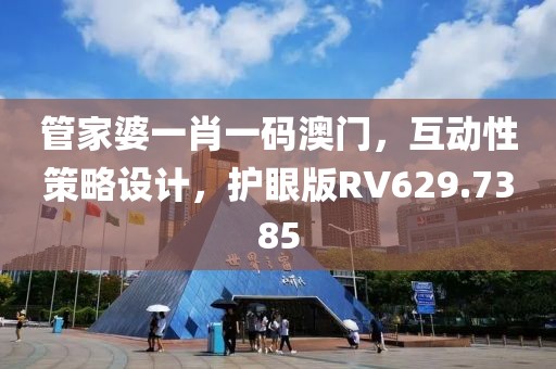 管家婆一肖一码澳门，互动性策略设计，护眼版RV629.7385