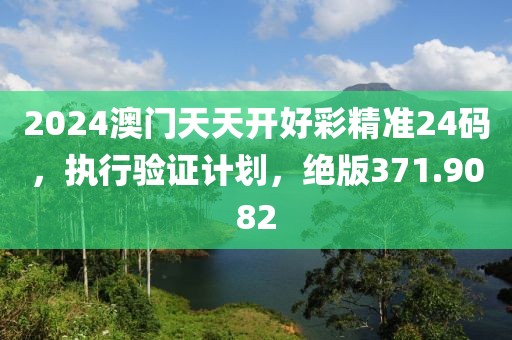 2024澳门天天开好彩精准24码，执行验证计划，绝版371.9082