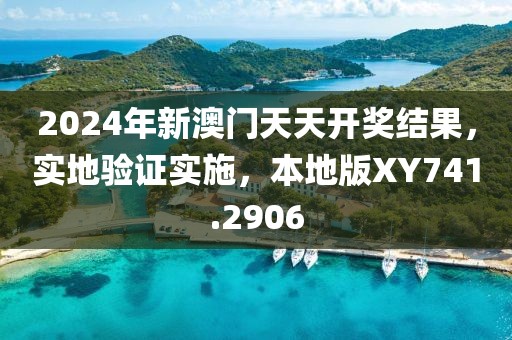 2024年新澳门天天开奖结果，实地验证实施，本地版XY741.2906