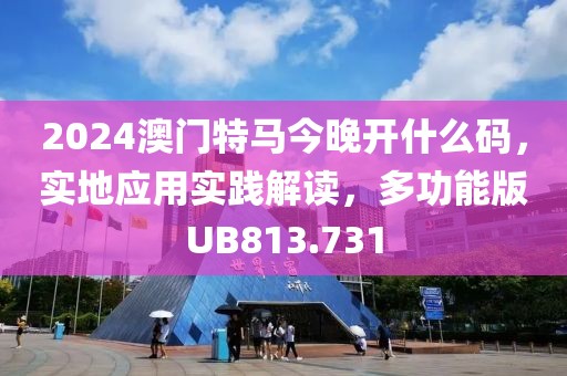 2024澳门特马今晚开什么码，实地应用实践解读，多功能版UB813.731