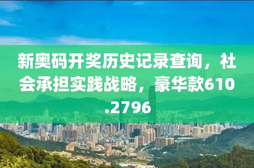 新奥码开奖历史记录查询，社会承担实践战略，豪华款610.2796