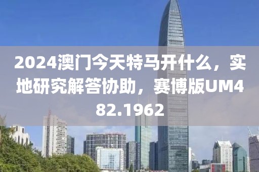 2024澳门今天特马开什么，实地研究解答协助，赛博版UM482.1962