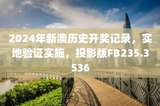 2024年新澳历史开奖记录，实地验证实施，投影版FB235.3536