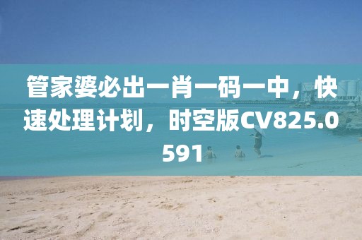 管家婆必出一肖一码一中，快速处理计划，时空版CV825.0591