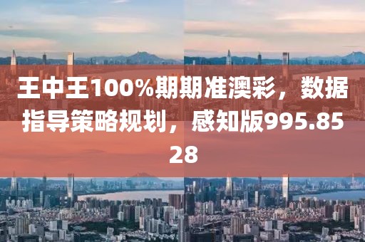 王中王100%期期准澳彩，数据指导策略规划，感知版995.8528