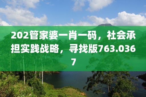 202管家婆一肖一码，社会承担实践战略，寻找版763.0367