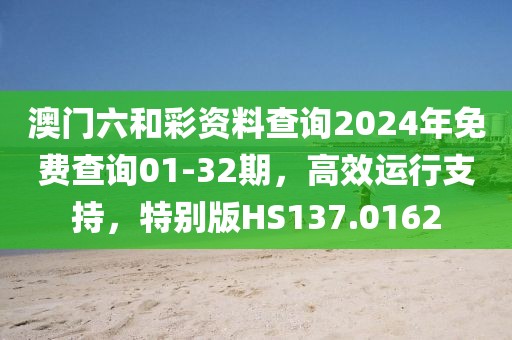 澳门六和彩资料查询2024年免费查询01-32期，高效运行支持，特别版HS137.0162