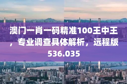 澳门一肖一码精准100王中王，专业调查具体解析，远程版536.035