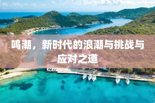 鸣潮，新时代的浪潮与挑战与应对之道