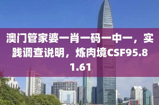 澳门管家婆一肖一码一中一，实践调查说明，炼肉境CSF95.81.61