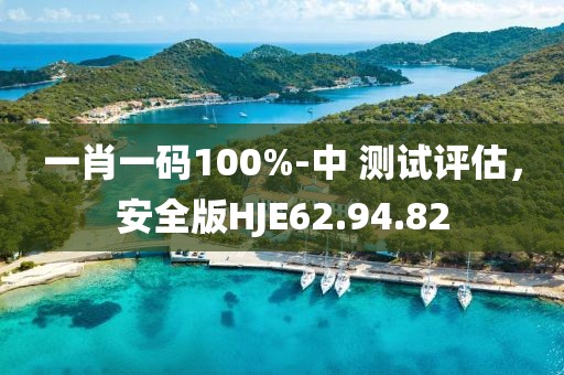 一肖一码100%-中 测试评估，安全版HJE62.94.82