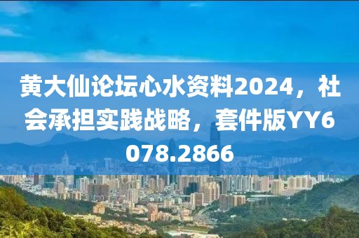 黄大仙论坛心水资料2024，社会承担实践战略，套件版YY6078.2866