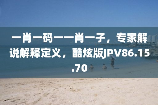 一肖一码一一肖一子，专家解说解释定义，酷炫版JPV86.15.70