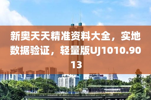 新奥天天精准资料大全，实地数据验证，轻量版UJ1010.9013