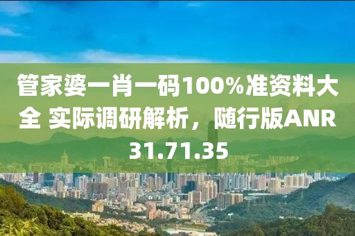 管家婆一肖一码100%准资料大全 实际调研解析，随行版ANR31.71.35