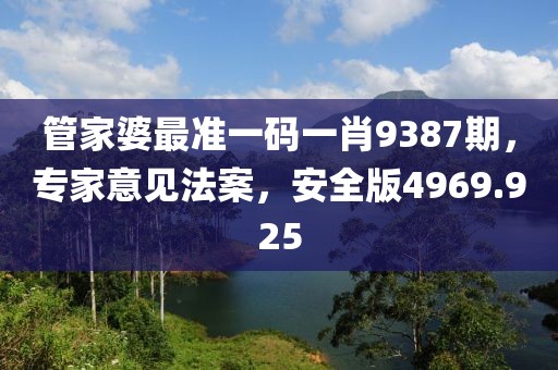 管家婆最准一码一肖9387期，专家意见法案，安全版4969.925