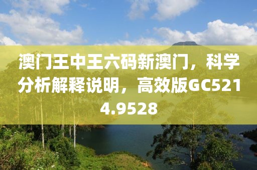 澳门王中王六码新澳门，科学分析解释说明，高效版GC5214.9528