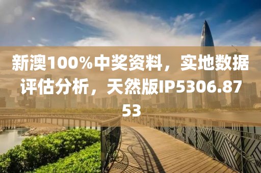 新澳100%中奖资料，实地数据评估分析，天然版IP5306.8753